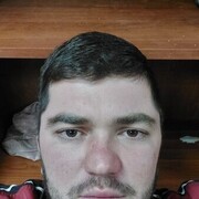 ���������� ������, ���� ������� ������, 31 ���, ������������ ��� c�������� ���������