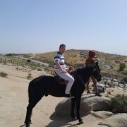 ���������� �����������, ������� ����, 37