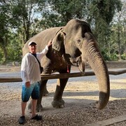 ���������� �����������, ���� ������� �������, 46 ���, ������������ ��� ������, ����� � ���������