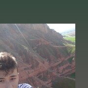 � ����������