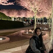 ���������� ������, ���� ������� ����, 25 ���, ������������ ��� ������, ����� � ���������