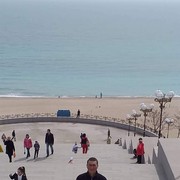  ,   , 36 ,   