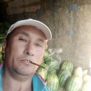  -,   , 44 ,   ,   