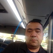  ,   Yorilla, 49 ,   ,   