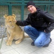 ���������� ������-��-����, ���� ������� ������, 38 ���, ������������ ��� ������, ����� � ���������