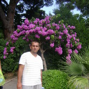  ,   , 40 ,   ,   , c 