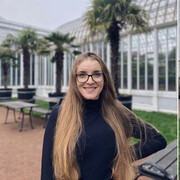 ���������� ������, ���� ������� ���, 26 ���, ������������ ��� ������, ����� � ���������, ���������