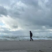 ���������� ��������, ���� ������� ϸ��, 28 ���, ������������ ��� ������, ����� � ���������