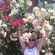 ���������� �����, ���� ������� ��������, 61 ���, ������������ 