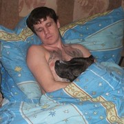  ,   , 51 ,   