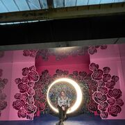 ���������� �����-���������, ���� ������� ��������, 29 ���, ������������ ��� ������, ����� � ���������