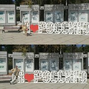 ,   Ҹ, 36 ,   ,   , c 