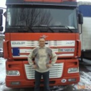  ,   DAF95, 56 ,   