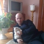  ,   , 54 ,   