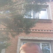  ,   , 56 ,   c 