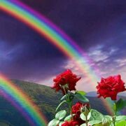  -,   , 66 ,     , c , 