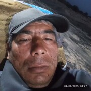  ,   , 43 ,   ,   