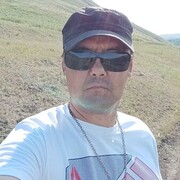  ,   Radis Halico, 41 ,   c 