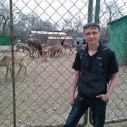 ���������� ���������, ���� ������� ��������, 36 ���, ������������ ��� ������, ����� � ���������, c�������� ���������