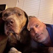  -,   , 55 ,   ,   , c 