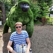 ���������� �����������, ���� ������� �������, 45 ���, ������������ ��� ������, ����� � ���������, c�������� ���������