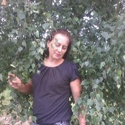  ,   , 55 ,  