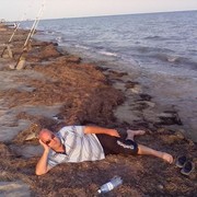 ���������� ����, ���� ������� ����, 47 ���, ������������ ��� ������, ����� � ���������, c�������� ���������