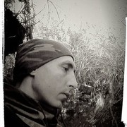 ���������� ������, ���� ������� ���������, 41 ���, ������������ ��� ������, ����� � ���������, c�������� ���������