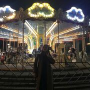 ���������� ������, ���� ������� ������, 29 ���, ������������ ��� ����� � ���������, c�������� ���������