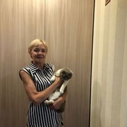  ,   , 60 ,   , 