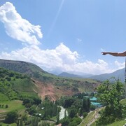 ���������� �������, ���� ������� Ferdy, 29 ���, ������������ ��� ������, ����� � ���������, c�������� ���������