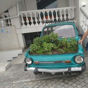 ���������� �����������, ���� ������� �������, 43 ����, ������������ ��� ������, ����� � ���������, c�������� ���������