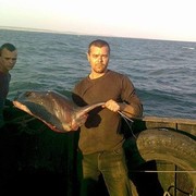 ���������� ��������, ���� ������� ����, 46 ���, ������������ ��� ������, ���������