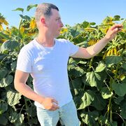 ���������� ������������, ���� ������� �����, 31 ���, ������������ ��� ������, ����� � ���������