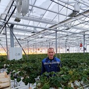 ���������� �����, ���� ������� ������, 49 ���, ������������ 