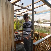 ���������� ������, ���� ������� �����, 36 ���, ������������ ��� ������, ����� � ���������, c�������� ���������