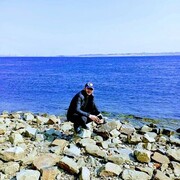 ���������� ���������, ���� ������� ��������, 31 ���, ������������ ��� ������, ����� � ���������