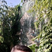 ���������� ������, ���� ������� ������, 44 ����, ������������ ��� ������, ����� � ���������, ���������