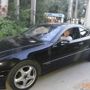 ���������� ������, ���� ������� Vladik, 39 ���, ������������ ��� ������, ����� � ���������, c�������� ���������