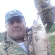 ���������� �����������, ���� ������� ������, 48 ���, ������������ ��� ������, ����� � ���������, c�������� ���������, ���������