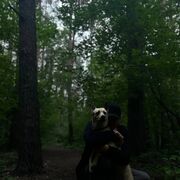  ,   Ar, 29 ,   