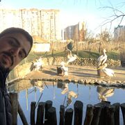  ,   Deniz, 32 ,   ,   