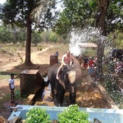 ���������� ������ ��������, ���� ������� �����, 49 ���, ������������ ��� ������, ����� � ���������, c�������� ���������