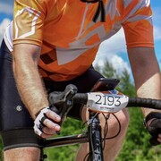 ���������� ������, ���� ������� MSV, 43 ����, ������������ ��� ������