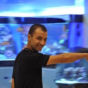  ,  maks, 36