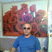  -,   , 51 ,   ,   , c 