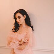 ���������� �����-���������, ���������