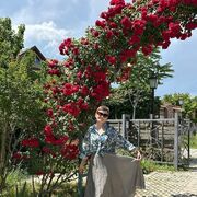 ���������� ����, ������� �����, 63