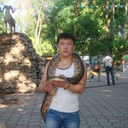  ,   Nursultan, 31 ,  