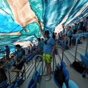 ���������� �����-���������, ���� ������� ����, 42 ����, ������������ ��� ������, ����� � ���������, c�������� ���������